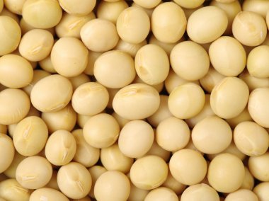 Soya arka plan bütün kurutulmuş