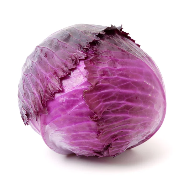 Red cabbage isolated on white — Stock Photo, Image