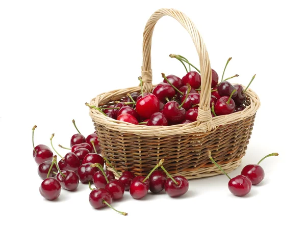 Cherry isolato su sfondo bianco — Foto Stock