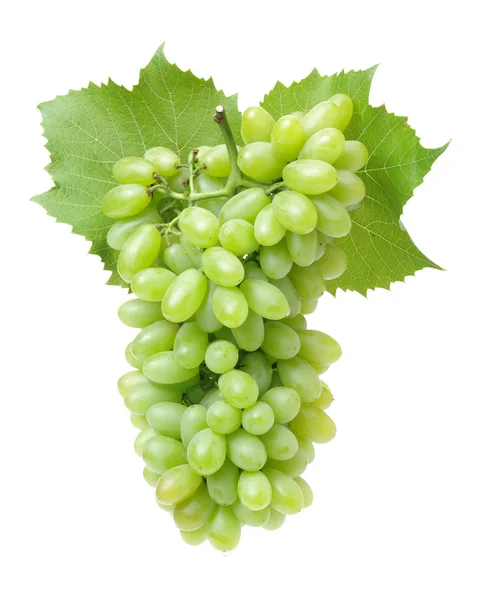 Green grapes isolated on the — Stock Photo, Image