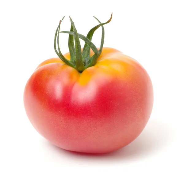 Tomate sur fond blanc — Photo