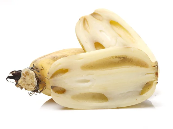 Lotus root isolated on white — Stock Photo, Image