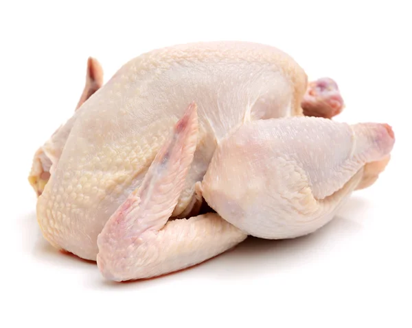 Frisches Huhn auf einem weißen — Stockfoto