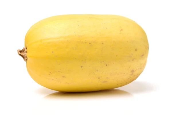 Ekologiska spaghetti squash Cucurbita pepo — Stockfoto