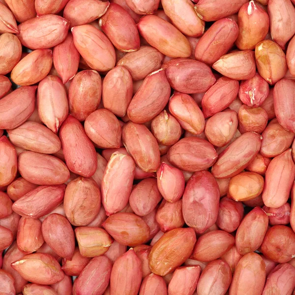 Peanuts as a background — Stock Photo, Image