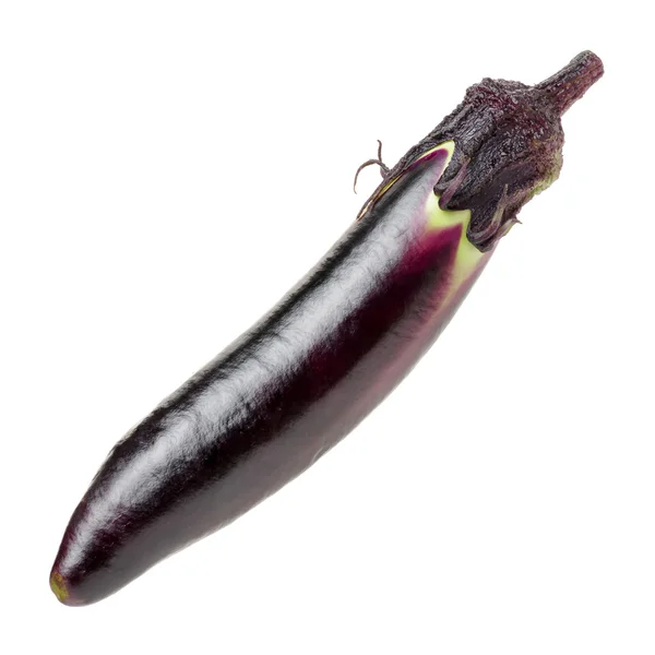 Aubergine isoliert auf weißem Hintergrund — Stockfoto