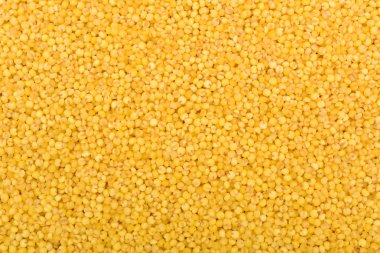 taze sarı darı arka plan