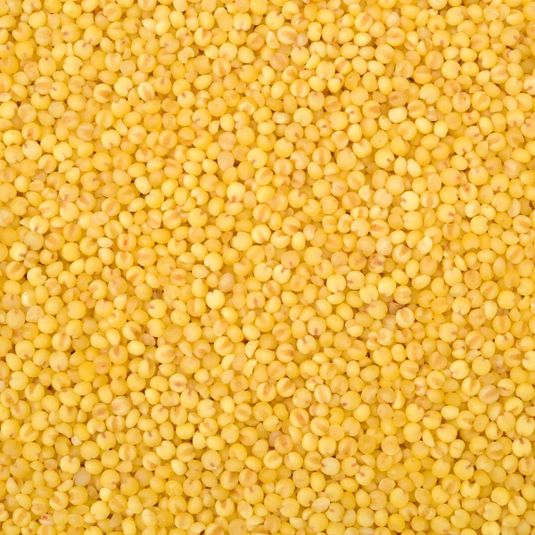 Fresh Yellow millet background — Stock Photo, Image