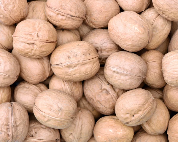 Raw and dried walnut as — Stock Photo, Image