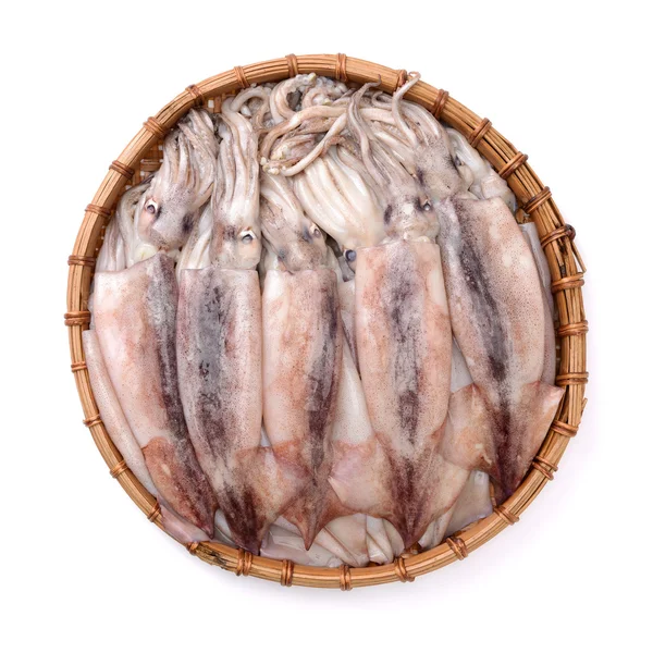 白色背景上的新鲜鱿鱼 — 图库照片