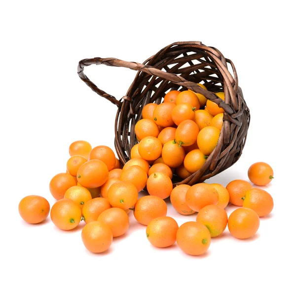 Kumquat sobre fondo blanco —  Fotos de Stock