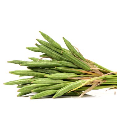 Beyaz arka plan üzerinde Çince Iris