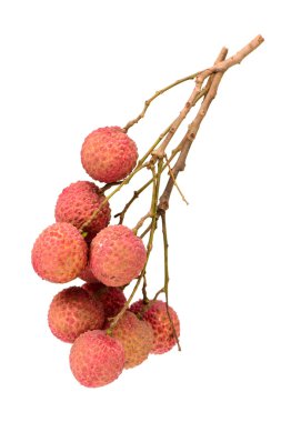Taze lychee (Çin chinensis) beyaz arka plan üzerinde izole