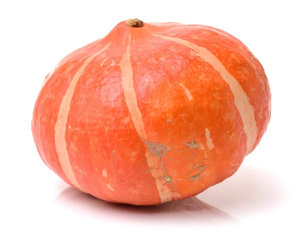 Abóbora laranja no fundo branco — Fotografia de Stock