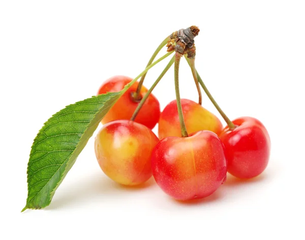 Cherry izolované na bílém pozadí — Stock fotografie