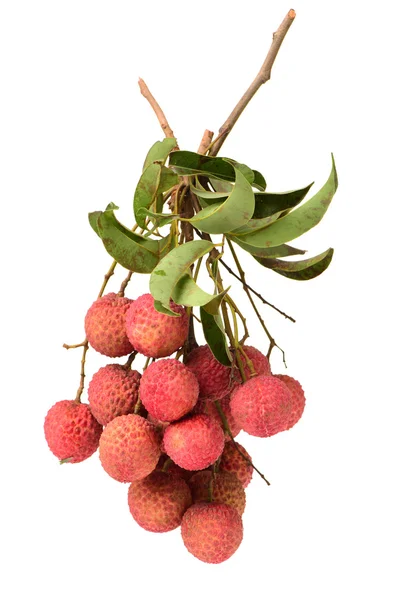 पत्तियों के साथ ताजा lychees अलग — स्टॉक फ़ोटो, इमेज