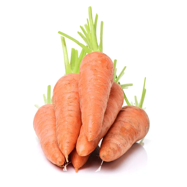 Fresh carrot on white background — Stock Photo, Image