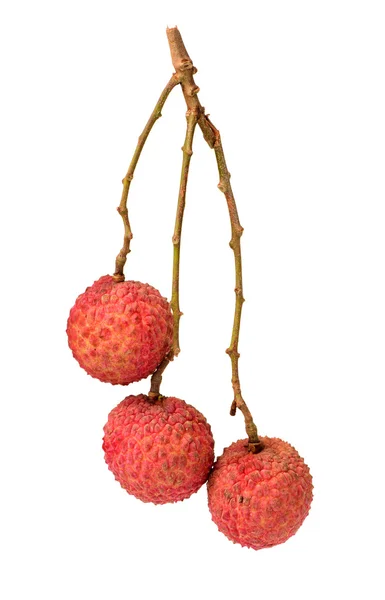 Frisk lychee (Litchi chinensis) isolerade på vit bakgrund — Stockfoto