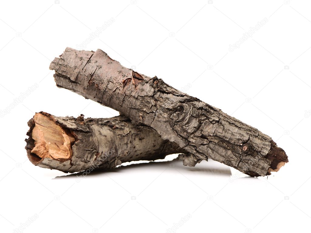 dry dead branch isolated on 