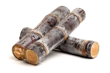 Beyaz arkaplanda izole şeker kamışı