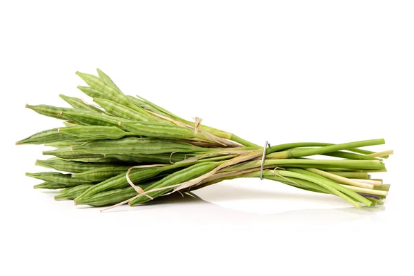 Un mazzo di asparagi selvatici — Foto Stock