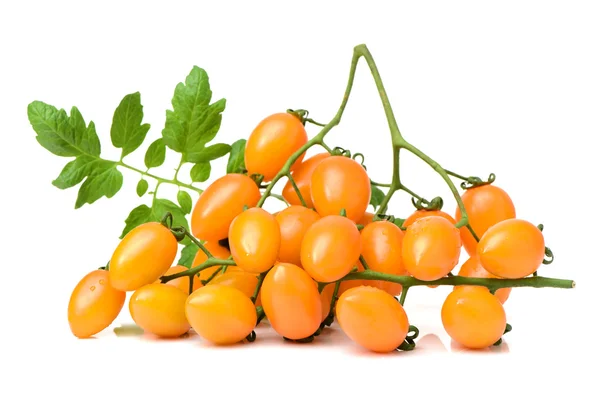Tomates cerises sur fond blanc — Photo