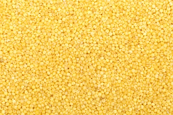 Fresh Yellow millet background — Stock Photo, Image