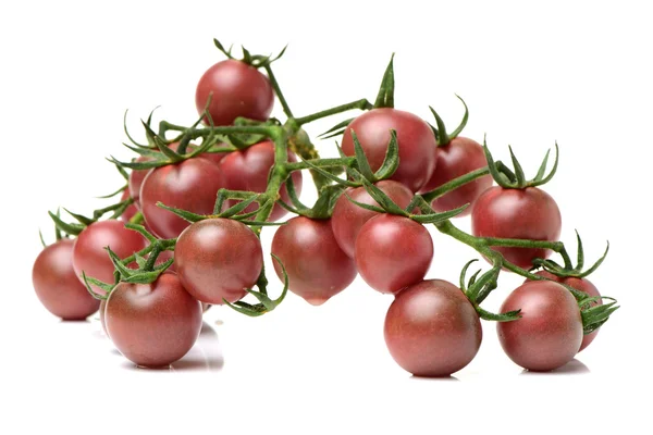 Petite tomate cerise sur blanc — Photo