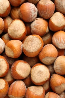 Beyaz arkaplanda fındık