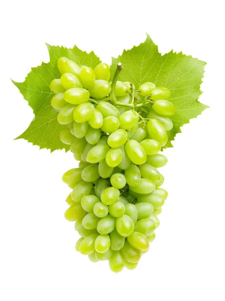 Racimo de uvas verdes — Foto de Stock