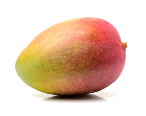 Mango sobre fondo blanco —  Fotos de Stock