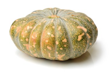 beyaz arkaplanda kabak