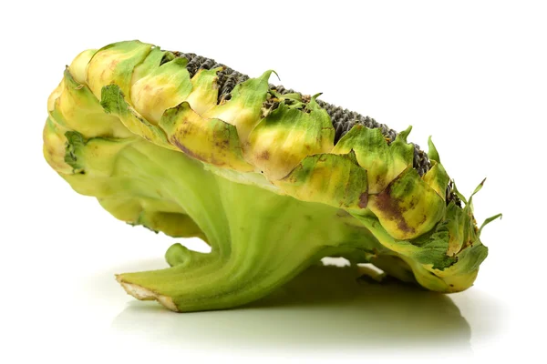 Seeds of ripen sunflowers — Stock Photo, Image