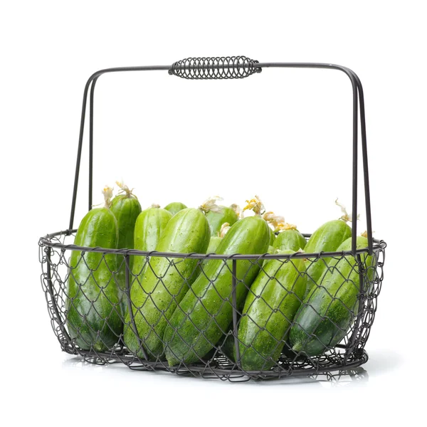 Fresh green cucumbers in iron basket — Stock Photo, Image
