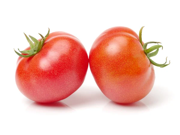 Frische reife Tomaten — Stockfoto