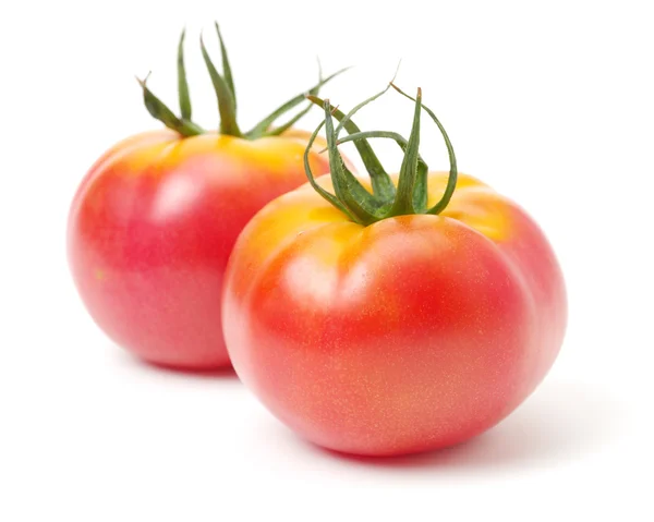 Fresh ripe tomatoes — Stock Photo, Image