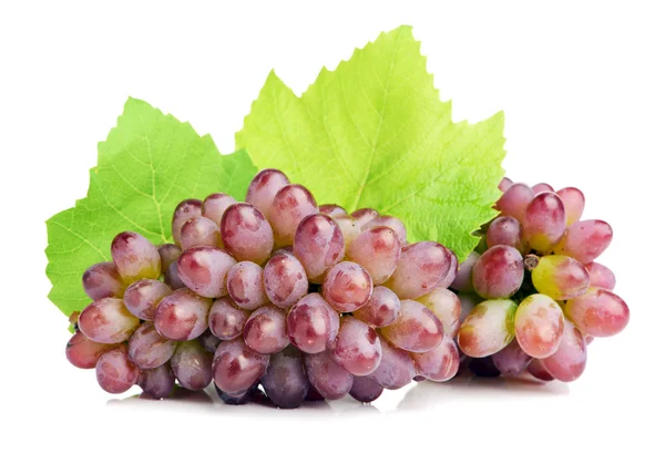 Grapes on white background — Stock Photo, Image