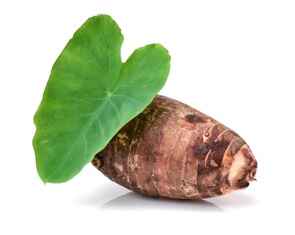 Taro på vit bakgrund — Stockfoto