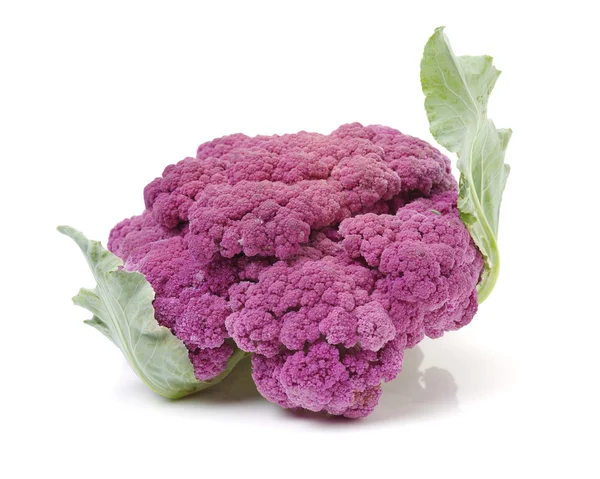 Purple cauliflower on white background — Stock Photo, Image