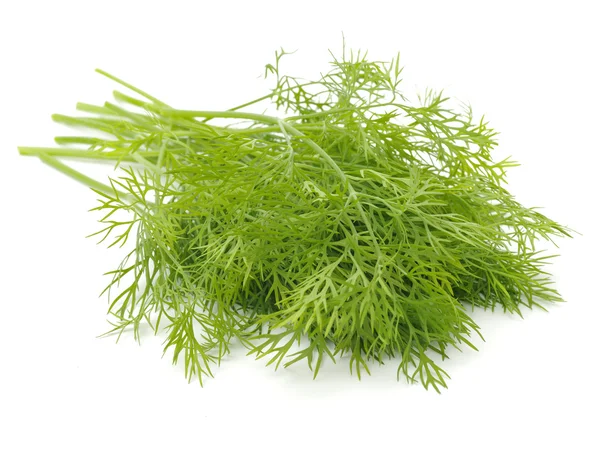 Bunch of green dill — Stock Photo, Image