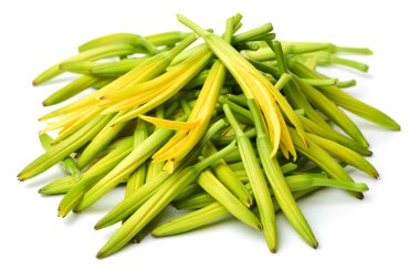 beyaz zemin üzerine daylily