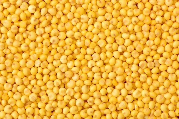 Жовтий насіння проса — стокове фото