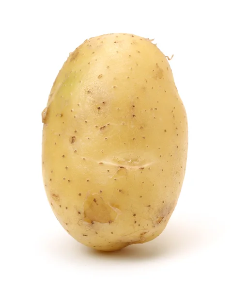 Close up of white potato. — Stock Photo, Image