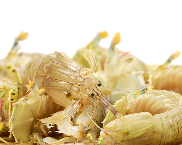 Primo piano di grano secco — Foto Stock