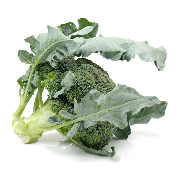 Broccoli vegetali su sfondo bianco — Foto Stock