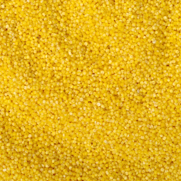 Yellow seeds millet