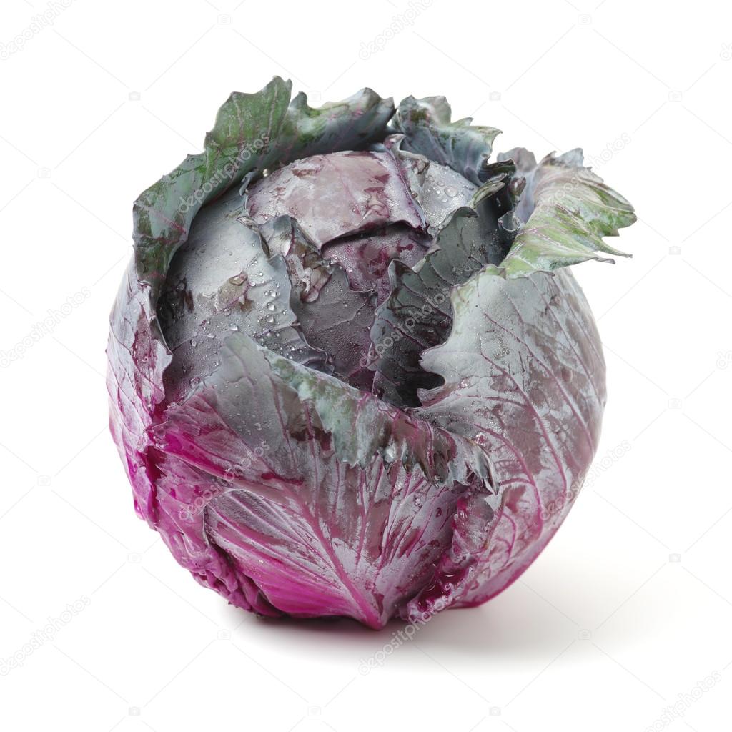 fresh red cabbage on a 