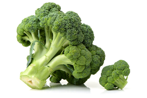 Broccoli on white background