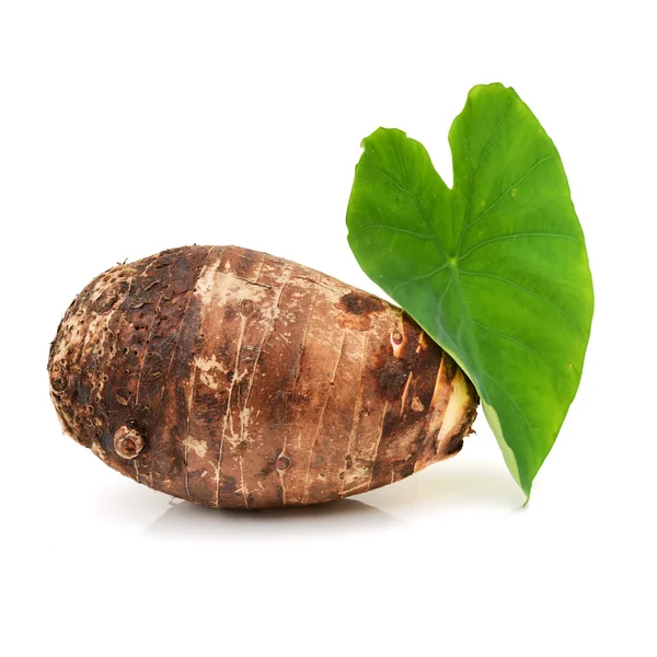 Taro Med Blad Vit Stockbild