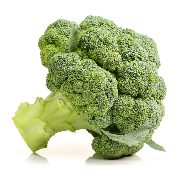 Brocoli sur fond blanc — Photo